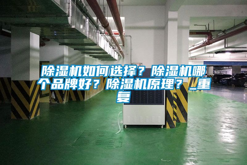 除濕機(jī)如何選擇？除濕機(jī)哪個(gè)品牌好？除濕機(jī)原理？_重復(fù)