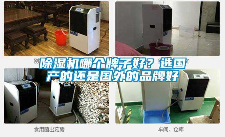 除濕機哪個牌子好？選國產(chǎn)的還是國外的品牌好