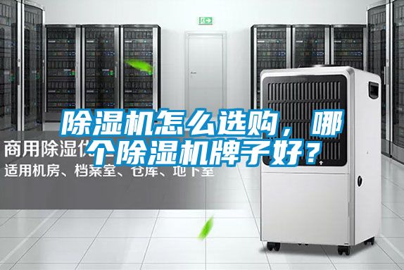 除濕機怎么選購，哪個除濕機牌子好？