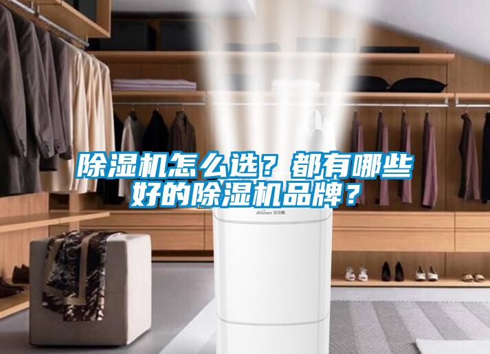除濕機(jī)怎么選？都有哪些好的除濕機(jī)品牌？