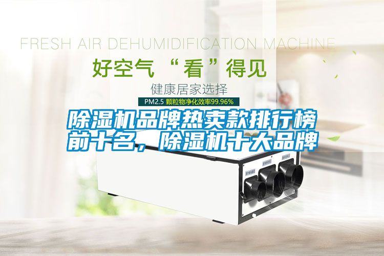 除濕機(jī)品牌熱賣款排行榜前十名，除濕機(jī)十大品牌