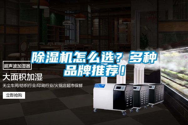 除濕機(jī)怎么選？多種品牌推薦！
