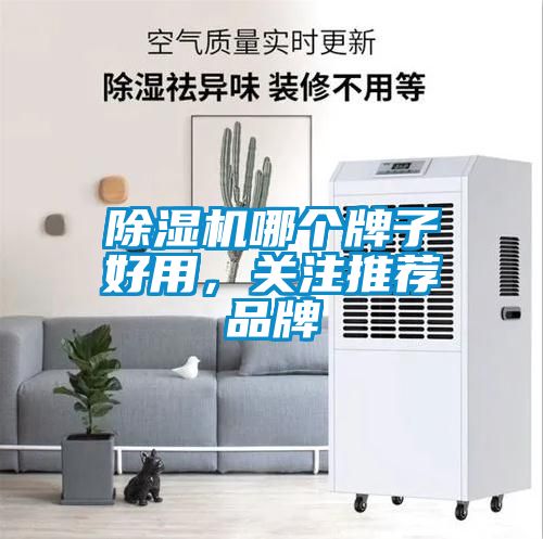 除濕機(jī)哪個牌子好用，關(guān)注推薦品牌