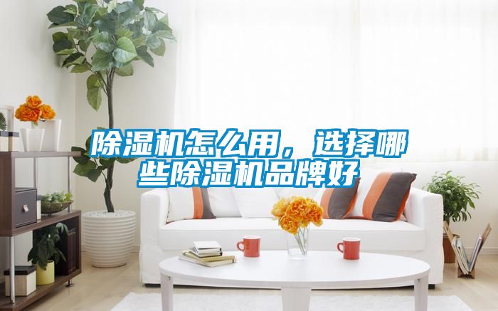 除濕機(jī)怎么用，選擇哪些除濕機(jī)品牌好