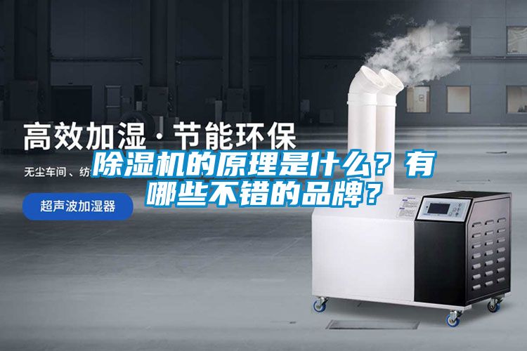 除濕機(jī)的原理是什么？有哪些不錯(cuò)的品牌？