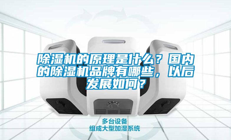 除濕機的原理是什么？國內(nèi)的除濕機品牌有哪些，以后發(fā)展如何？