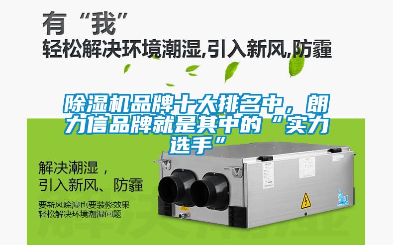 除濕機(jī)品牌十大排名中，朗力信品牌就是其中的“實(shí)力選手”