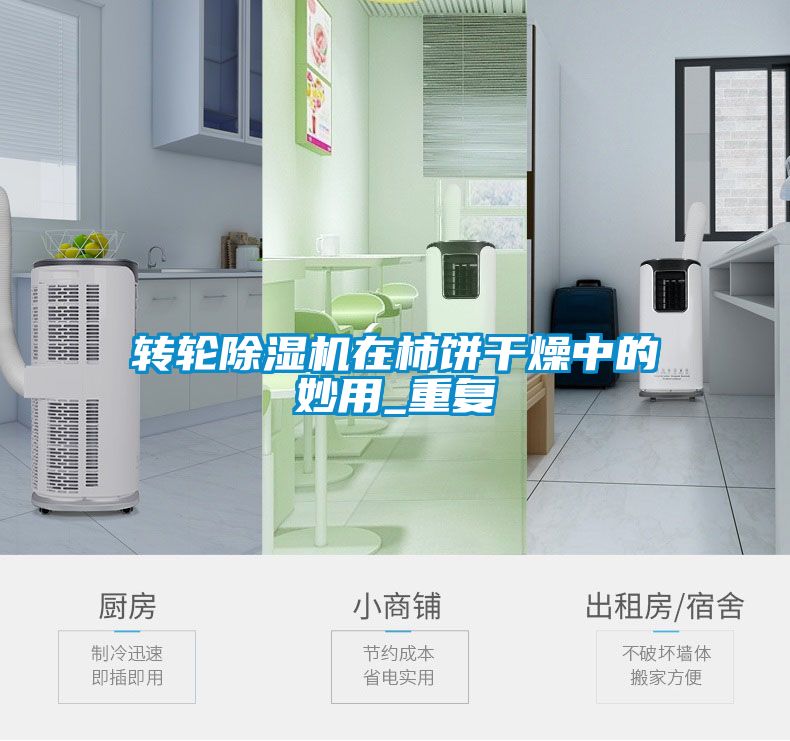 轉(zhuǎn)輪除濕機在柿餅干燥中的妙用_重復(fù)