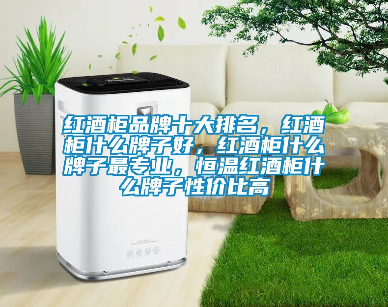 紅酒柜品牌十大排名，紅酒柜什么牌子好，紅酒柜什么牌子最專業(yè)，恒溫紅酒柜什么牌子性價(jià)比高