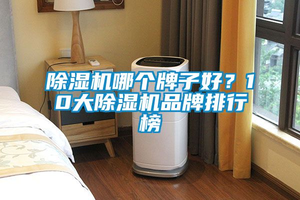 除濕機哪個牌子好？10大除濕機品牌排行榜