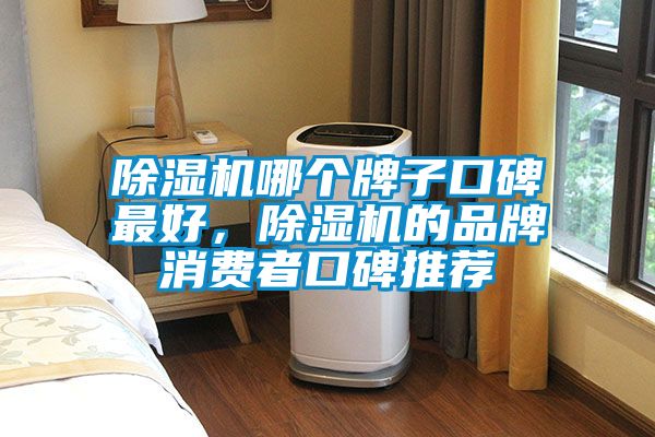 除濕機(jī)哪個(gè)牌子口碑最好，除濕機(jī)的品牌消費(fèi)者口碑推薦