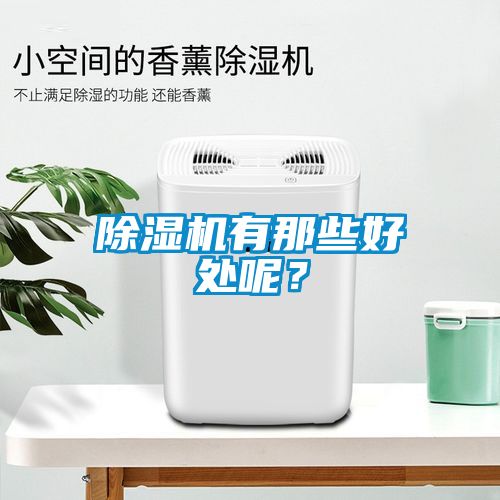 除濕機(jī)有那些好處呢？