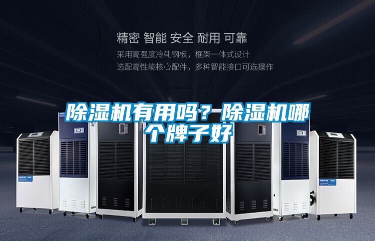 除濕機(jī)有用嗎？除濕機(jī)哪個牌子好