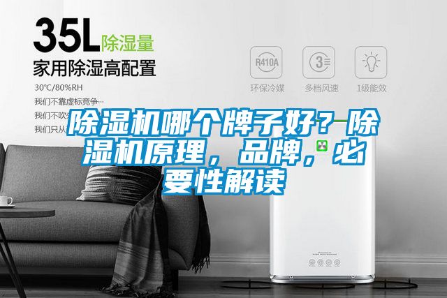 除濕機哪個牌子好？除濕機原理，品牌，必要性解讀