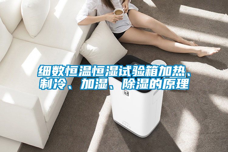 細數(shù)恒溫恒濕試驗箱加熱、制冷、加濕、除濕的原理