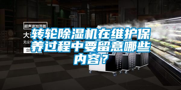 轉輪除濕機在維護保養(yǎng)過程中要留意哪些內容？