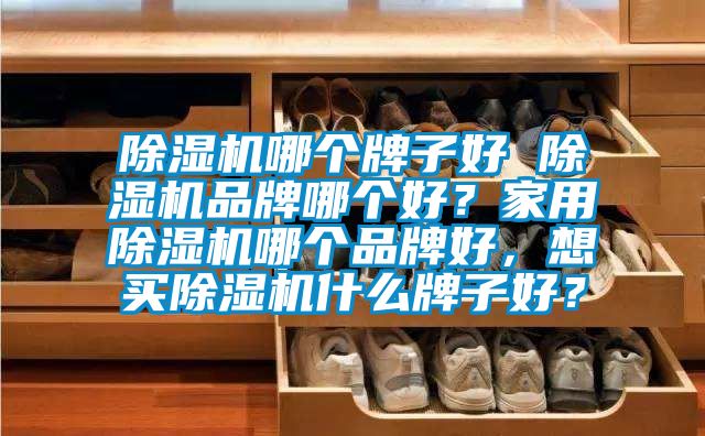 除濕機哪個牌子好 除濕機品牌哪個好？家用除濕機哪個品牌好，想買除濕機什么牌子好？