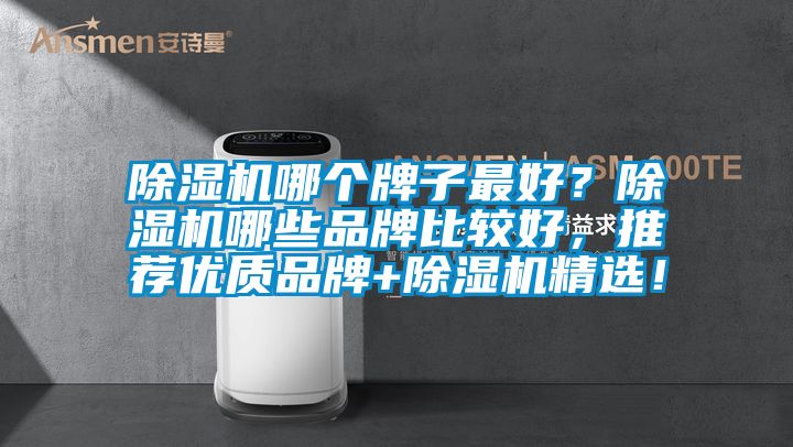 除濕機(jī)哪個(gè)牌子最好？除濕機(jī)哪些品牌比較好，推薦優(yōu)質(zhì)品牌+除濕機(jī)精選！