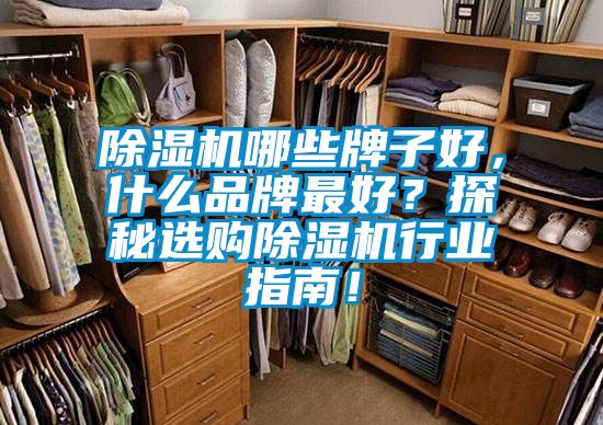 除濕機哪些牌子好，什么品牌最好？探秘選購除濕機行業(yè)指南！