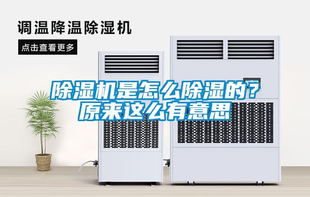 除濕機(jī)是怎么除濕的？原來(lái)這么有意思