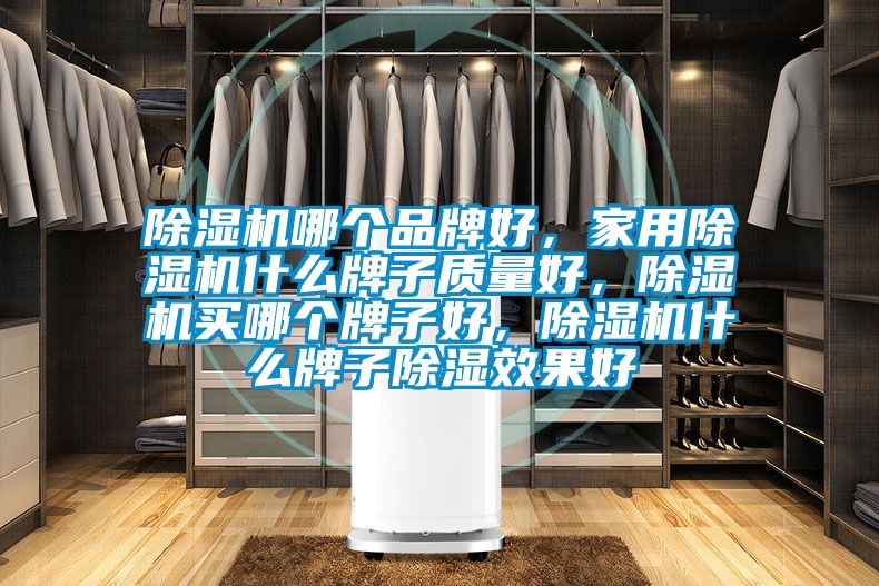 除濕機(jī)哪個(gè)品牌好，家用除濕機(jī)什么牌子質(zhì)量好，除濕機(jī)買哪個(gè)牌子好，除濕機(jī)什么牌子除濕效果好