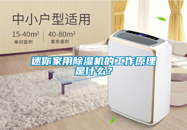 迷你家用除濕機的工作原理是什么？
