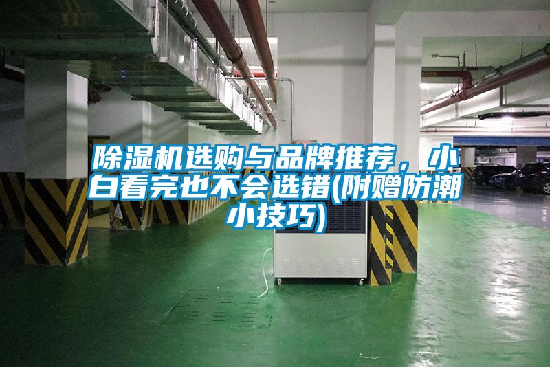 除濕機(jī)選購與品牌推薦，小白看完也不會(huì)選錯(cuò)(附贈(zèng)防潮小技巧)