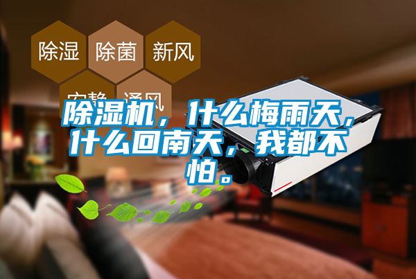 除濕機(jī)，什么梅雨天，什么回南天，我都不怕。
