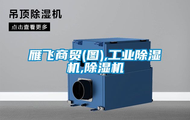 雁飛商貿(圖),工業(yè)除濕機,除濕機