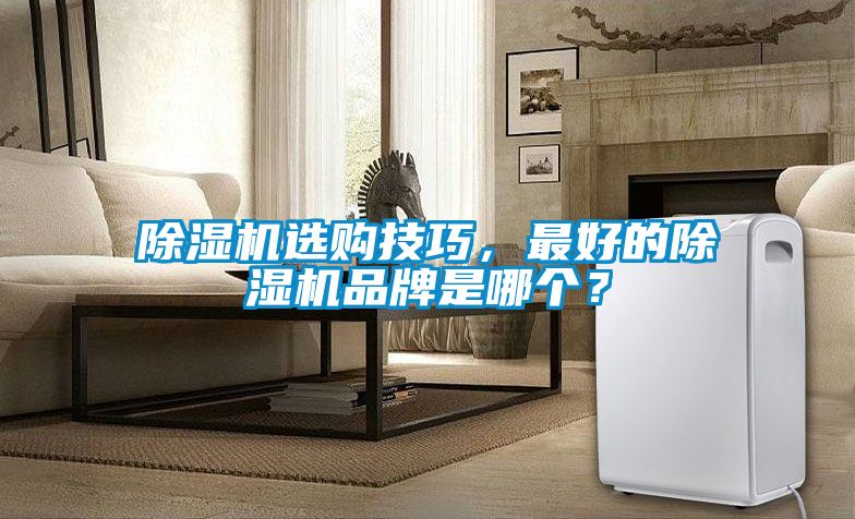 除濕機選購技巧，最好的除濕機品牌是哪個？