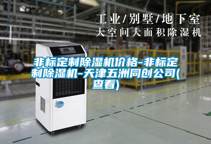 非標(biāo)定制除濕機(jī)價格-非標(biāo)定制除濕機(jī)-天津五洲同創(chuàng)公司(查看)