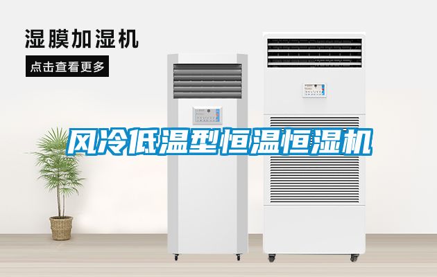 風(fēng)冷低溫型恒溫恒濕機