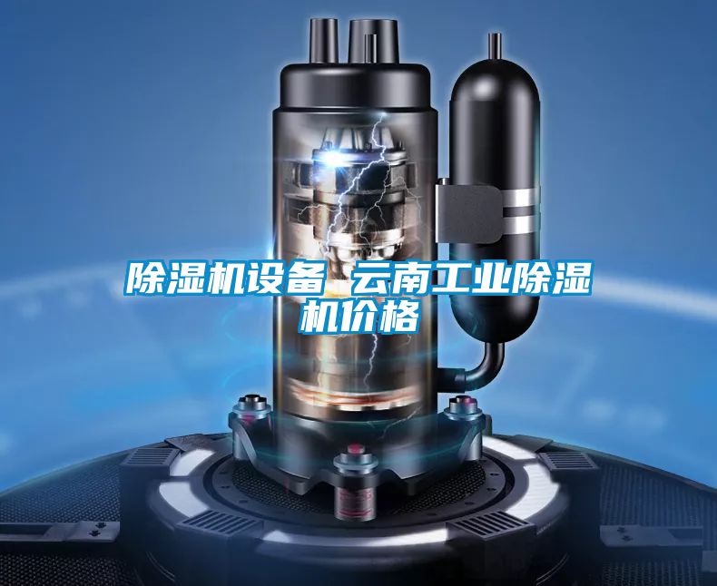 除濕機設(shè)備 云南工業(yè)除濕機價格