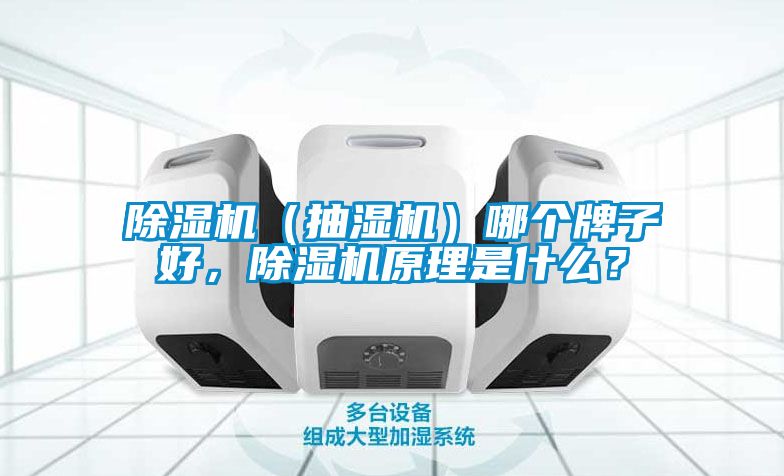 除濕機(jī)（抽濕機(jī)）哪個(gè)牌子好，除濕機(jī)原理是什么？