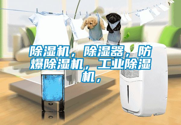 除濕機(jī)，除濕器，防爆除濕機(jī)，工業(yè)除濕機(jī)，