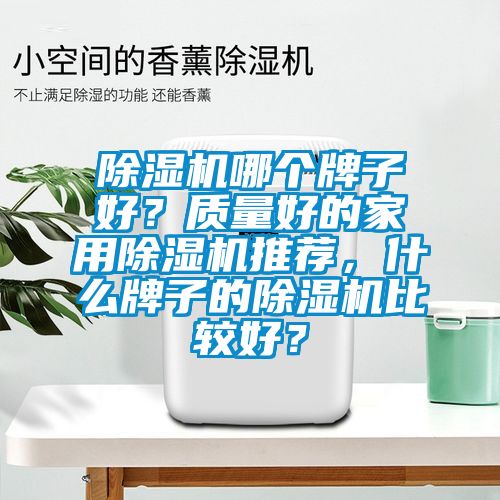 除濕機(jī)哪個牌子好？質(zhì)量好的家用除濕機(jī)推薦，什么牌子的除濕機(jī)比較好？