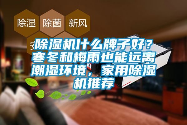 除濕機(jī)什么牌子好？寒冬和梅雨也能遠(yuǎn)離潮濕環(huán)境，家用除濕機(jī)推薦