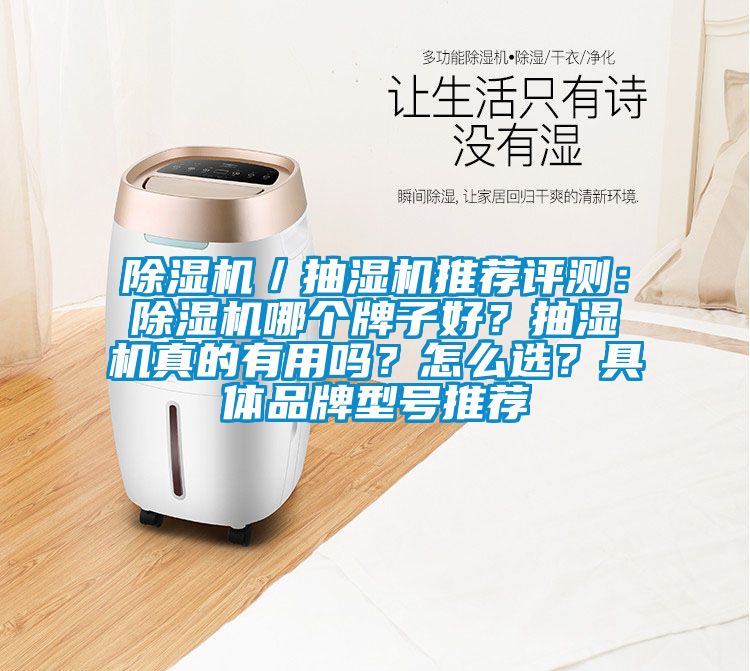 除濕機／抽濕機推薦評測：除濕機哪個牌子好？抽濕機真的有用嗎？怎么選？具體品牌型號推薦