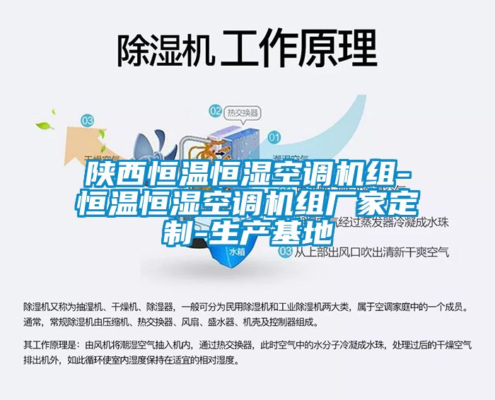 陜西恒溫恒濕空調(diào)機組-恒溫恒濕空調(diào)機組廠家定制-生產(chǎn)基地
