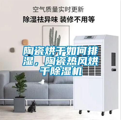 陶瓷烘干如何排濕，陶瓷熱風(fēng)烘干除濕機
