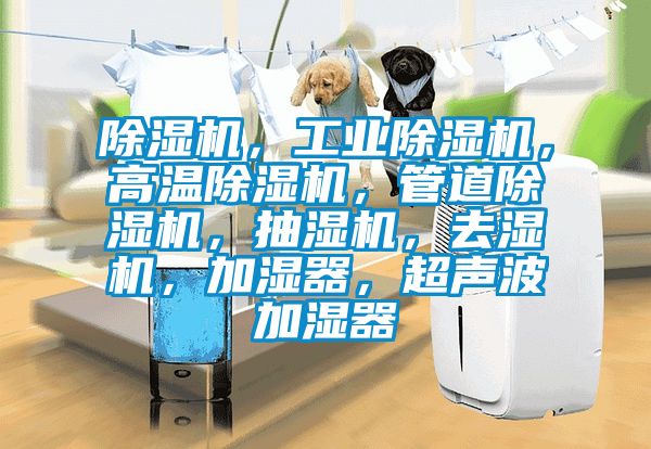 除濕機(jī)，工業(yè)除濕機(jī)，高溫除濕機(jī)，管道除濕機(jī)，抽濕機(jī)，去濕機(jī)，加濕器，超聲波加濕器