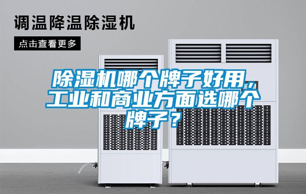 除濕機(jī)哪個(gè)牌子好用，工業(yè)和商業(yè)方面選哪個(gè)牌子？