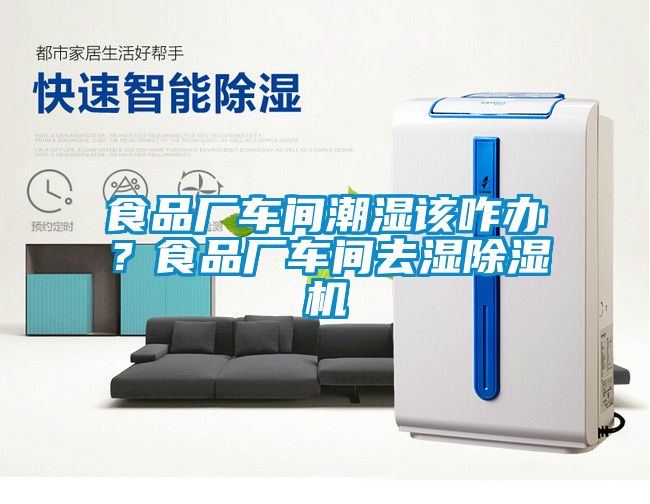 食品廠車間潮濕該咋辦？食品廠車間去濕除濕機