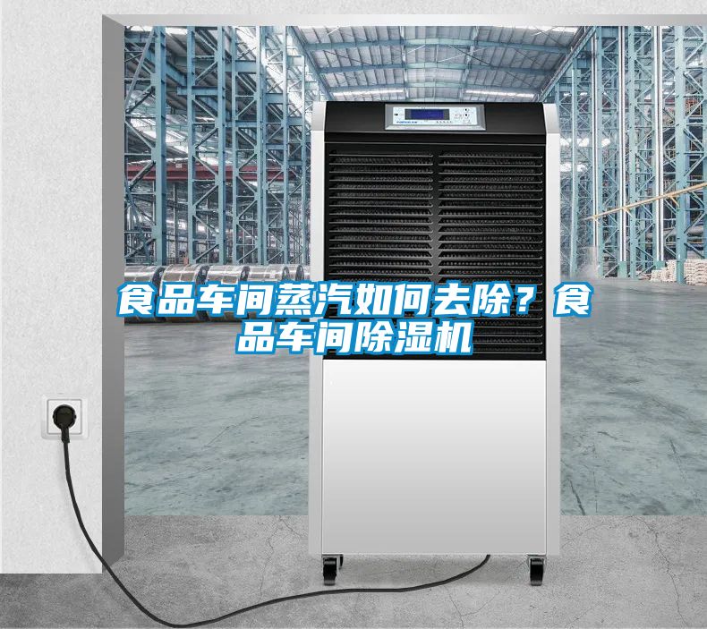 食品車間蒸汽如何去除？食品車間除濕機(jī)