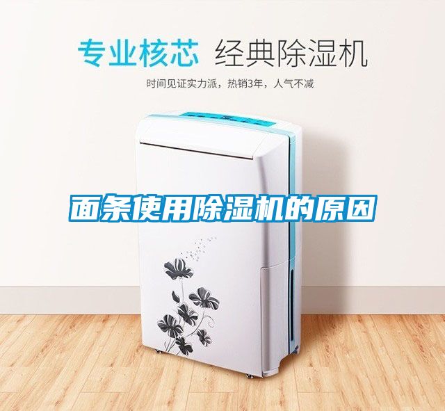 面條使用除濕機的原因