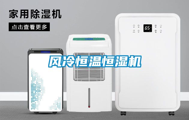 風(fēng)冷恒溫恒濕機