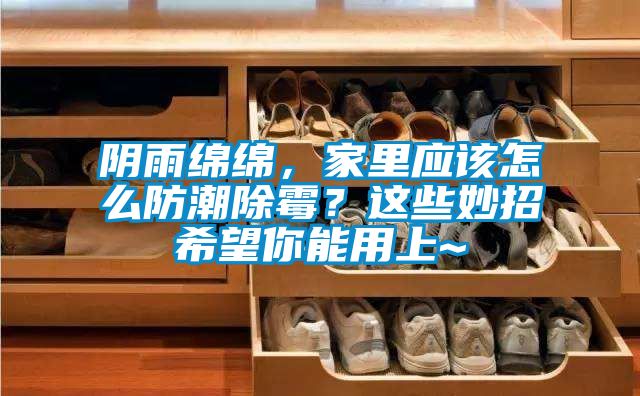 陰雨綿綿，家里應(yīng)該怎么防潮除霉？這些妙招希望你能用上~