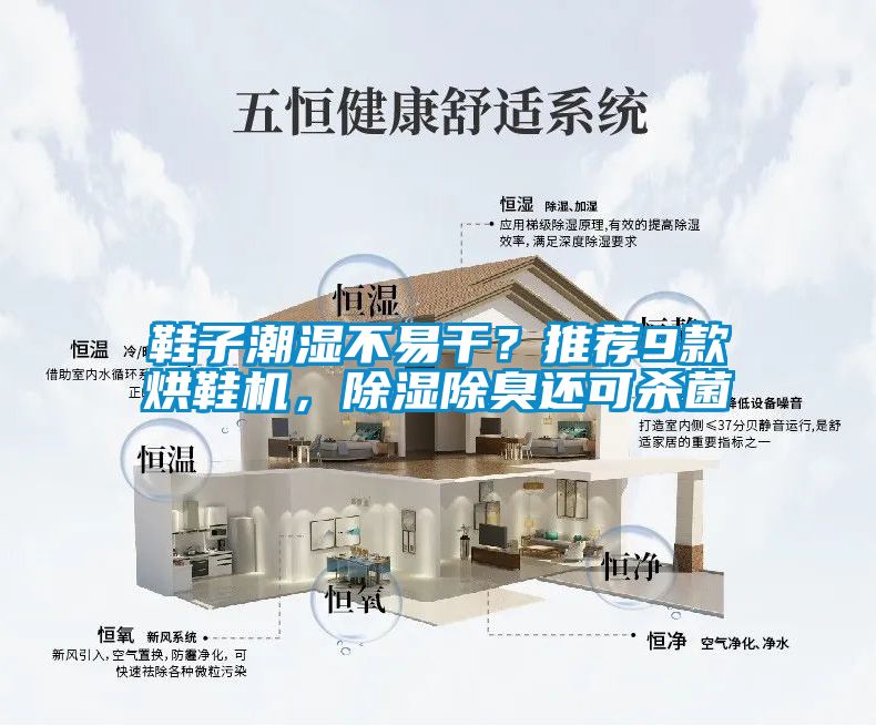 鞋子潮濕不易干？推薦9款烘鞋機(jī)，除濕除臭還可殺菌