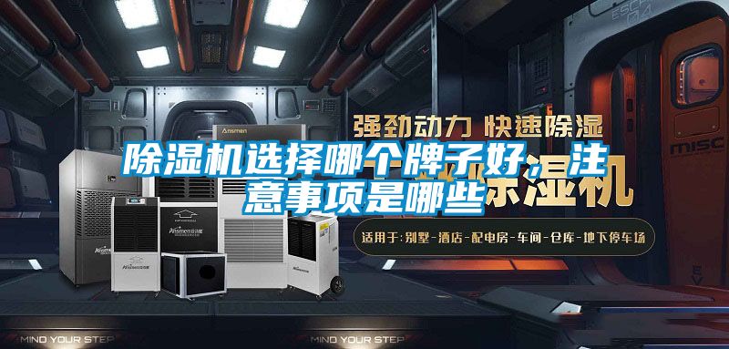 除濕機(jī)選擇哪個(gè)牌子好，注意事項(xiàng)是哪些