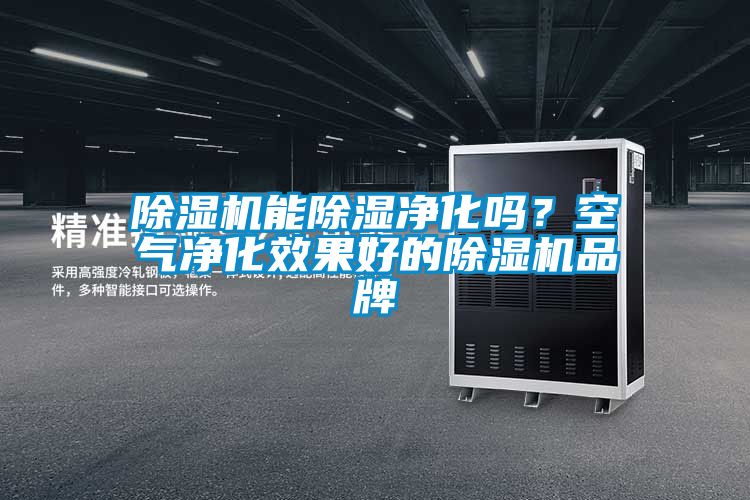 除濕機(jī)能除濕凈化嗎？空氣凈化效果好的除濕機(jī)品牌